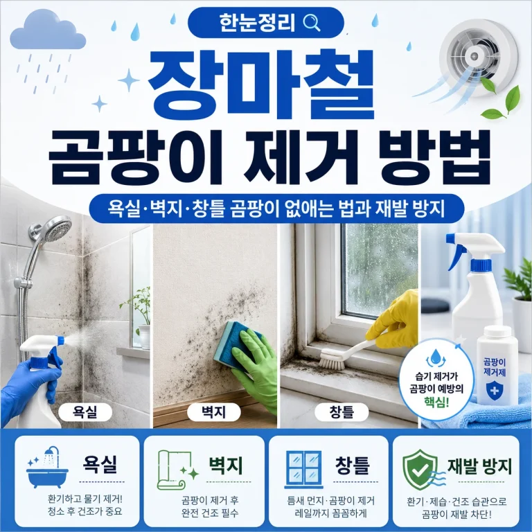 장마철 곰팡이 제거 방법｜욕실·벽지·창틀 곰팡이 없애는 법과 재발 방지