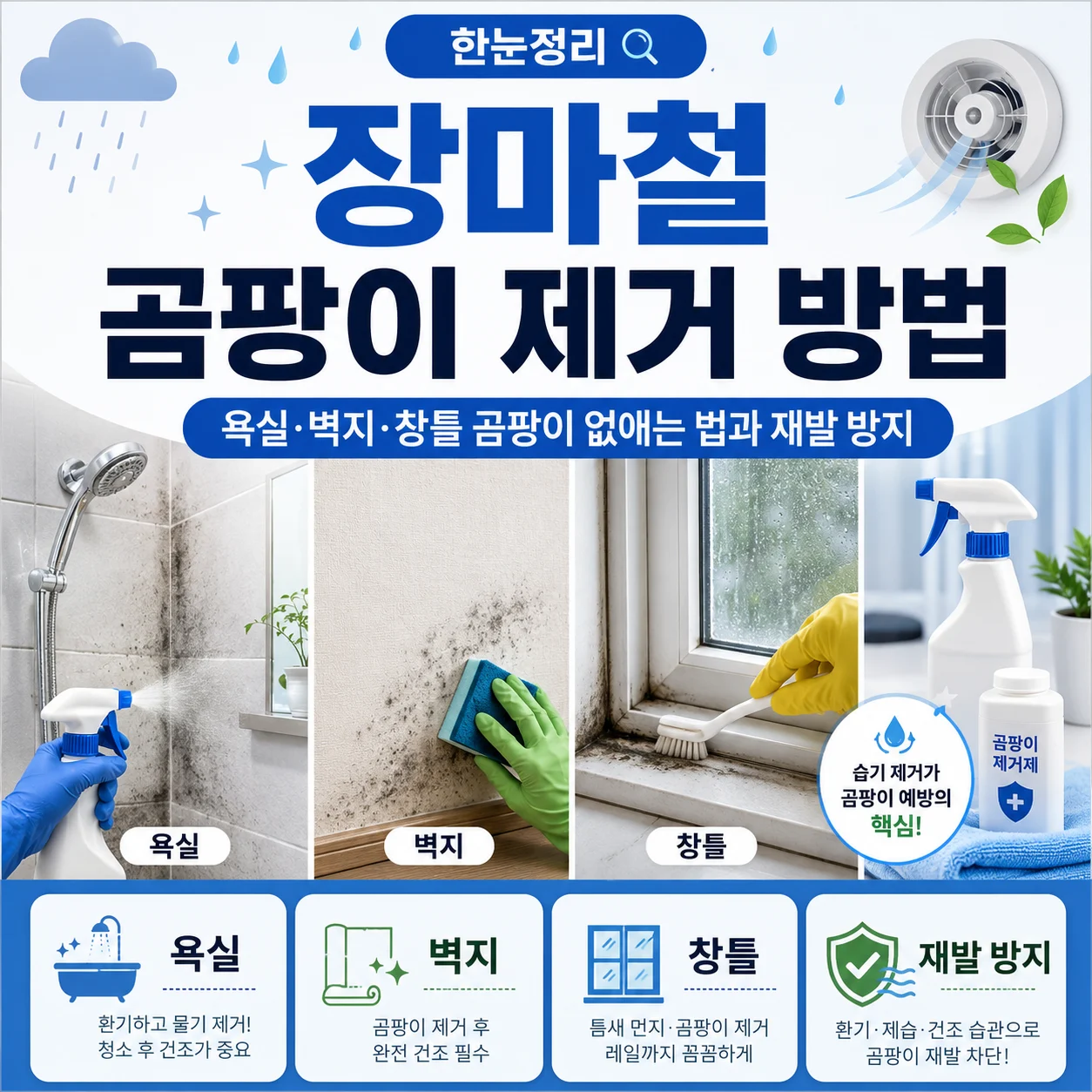 장마철 곰팡이 제거 방법｜욕실·벽지·창틀 곰팡이 없애는 법과 재발 방지
